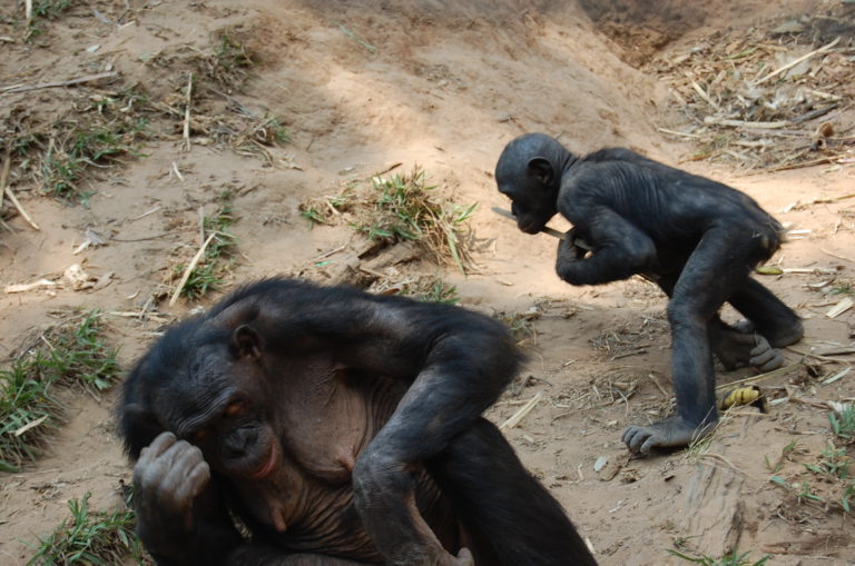 Studiereis drc september 2014 DSC 0441