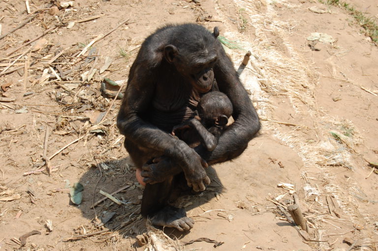 Studiereis drc september 2014 DSC 0446