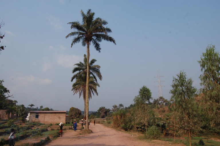 Studiereis drc september 2014 DSC 0468