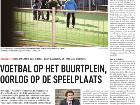 Screenshot artikel