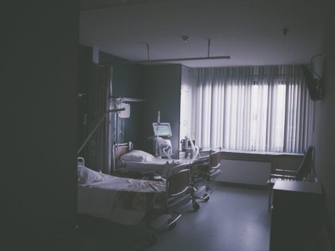 Daan stevens 282446 unsplash